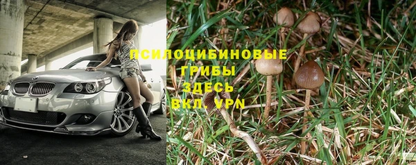 ешки Корсаков
