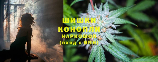 прущие крисы Краснослободск