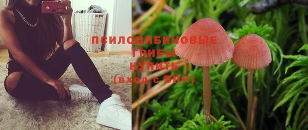 прущие крисы Краснослободск