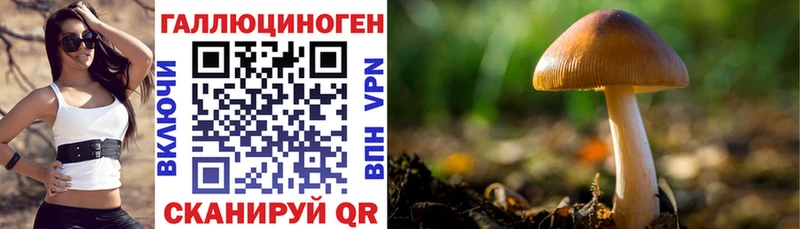 Галлюциногенные грибы мухоморы  Малгобек 